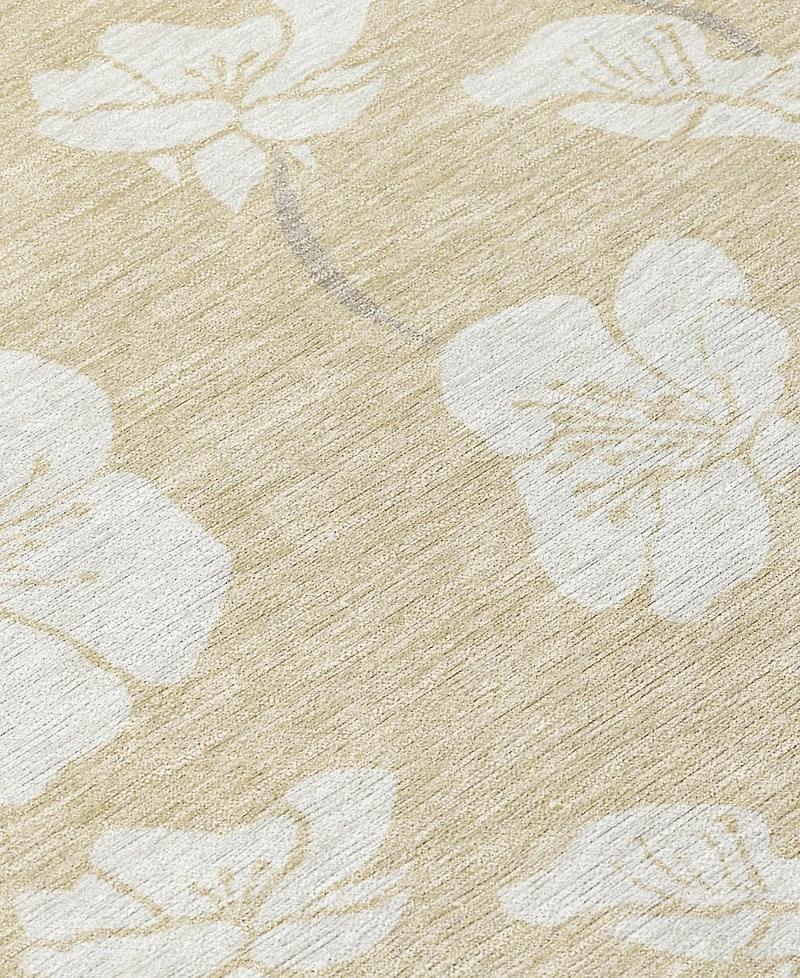 Addison Chantille Machine Washable ACN1032 2'6"x3'10" Area Rug