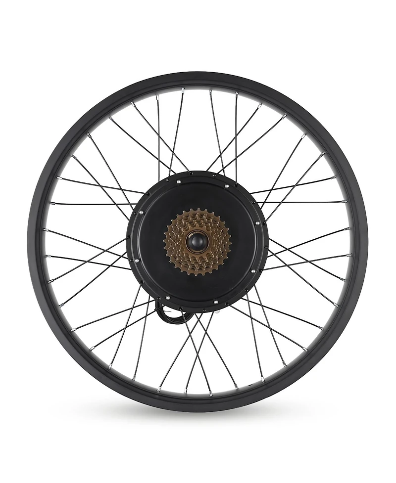 Yescom 26"x4" Fat Tire 48V Ebike Electric Rear Wheel Bicycle Conversion Kit Lcd 1000W Dual Controller