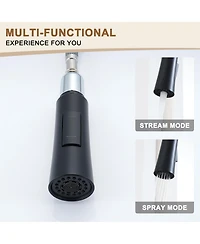 Casainc 1.8 Gpm Single-Handle Pull-Down Kitchen Faucet Single Hole Faucet