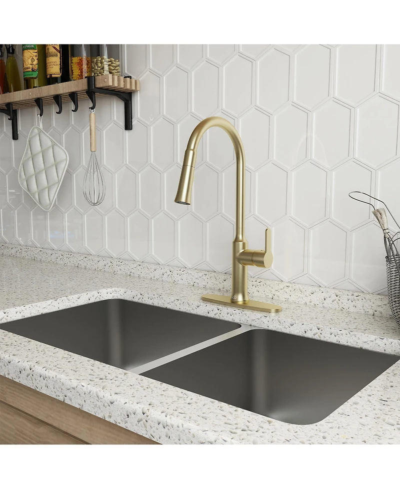 Casainc 1.8 Gpm Single-Handle Pull-Down Kitchen Faucet Single Hole