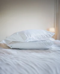 CleanBrands Pro Zippered 2-Pack Pillow Protector