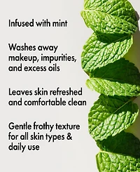 Origins Checks & Balances Frothy Face Wash