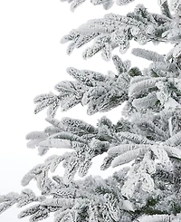 Seasonal 7.5ft Jackson Flocked Pine Tree, 600 Warm Led Lights