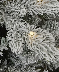 Seasonal 6ft Palmetto Pine Flocked Tree, 350 Dual Led Lights