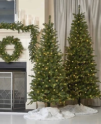 Seasonal 6ft Dakota Pine Artificial Tree, 230 Dual Led Lights