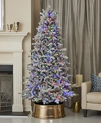 Seasonal 7ft Palmetto Pine Flocked Tree, 450 Dual Led Lights