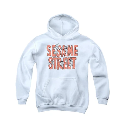 Sesame Street Youth Letters Pull Over Hoodie