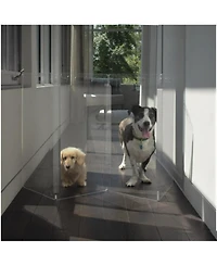 Hiddin Clear Freestanding Pet Gate Zig Zag