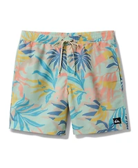 Quiksilver Men's Everyday Mix Volley 17 Nb Board Shorts