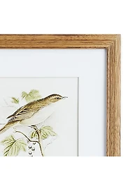 Perching Bird Study Petite Set of 4