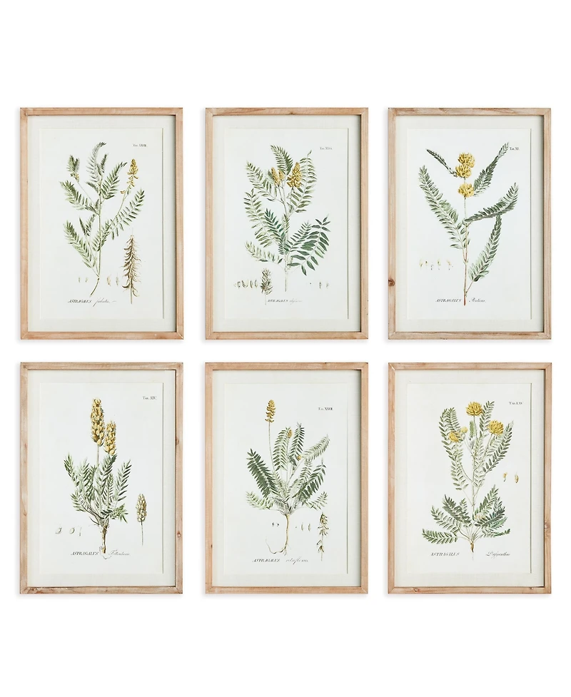 Mid-Summer Blooms Prints Set of 6