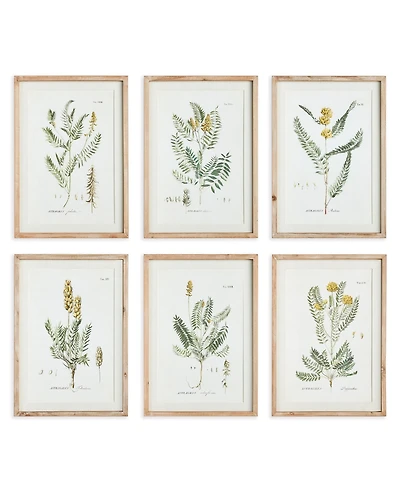 Mid-Summer Blooms Prints Set of 6
