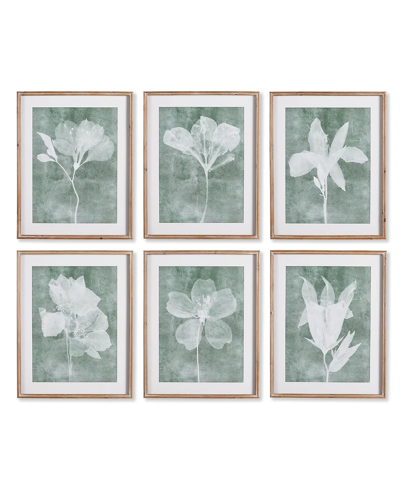 Napa Home & Garden Translucent Floral Prints Set of 6