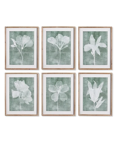 Napa Home & Garden Translucent Floral Prints Set of 6