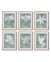 Napa Home & Garden Translucent Floral Prints Set of 6