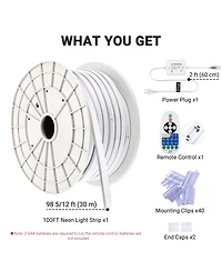 DELight 100FT Warm White Neon Rope Lights with Remote Control Ac 110V IP65 Waterproof Cuttable Dimmable Flexible Diy Del-D100W