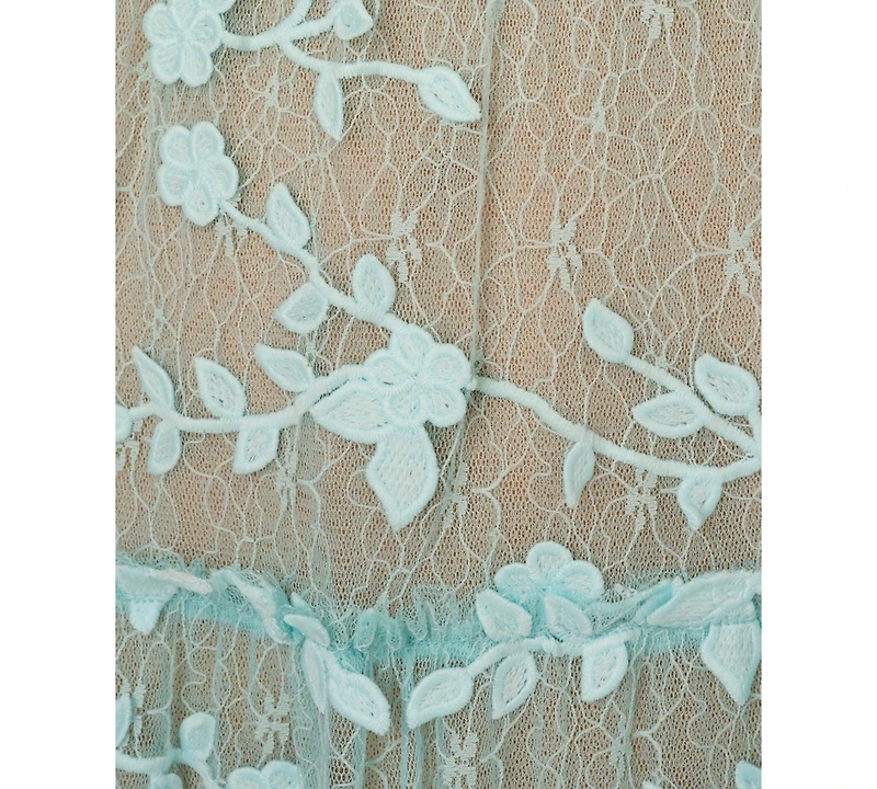 Adrianna Papell Women's V-Neck Lace Embroidery Dress