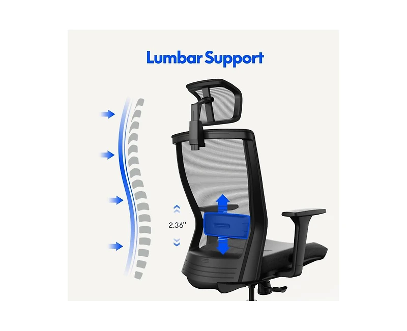 FlexiSpot C4B Ergonomic Mesh High-Back Office Chair, Black