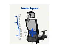 FlexiSpot C4B Ergonomic Mesh High-Back Office Chair, Black