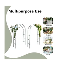 Garden Arch 2 pcs Climbing Plants