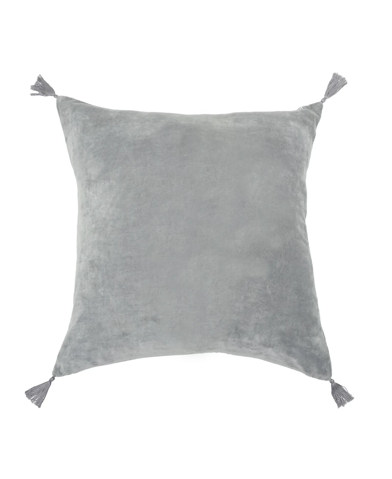 River Ruby Accent Throw Pillow, 22" x w/ Tassels