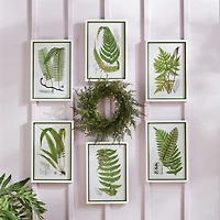 Layered Fern Prints Set of 6