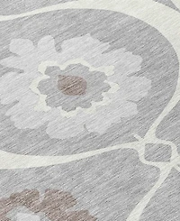 Addison Chantille Machine Washable ACN858 2'6"x3'10" Area Rug