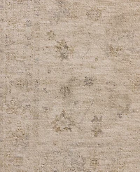 Chris Loves Julia Louisa Loi-01 9'6''x13'1'' Area Rug