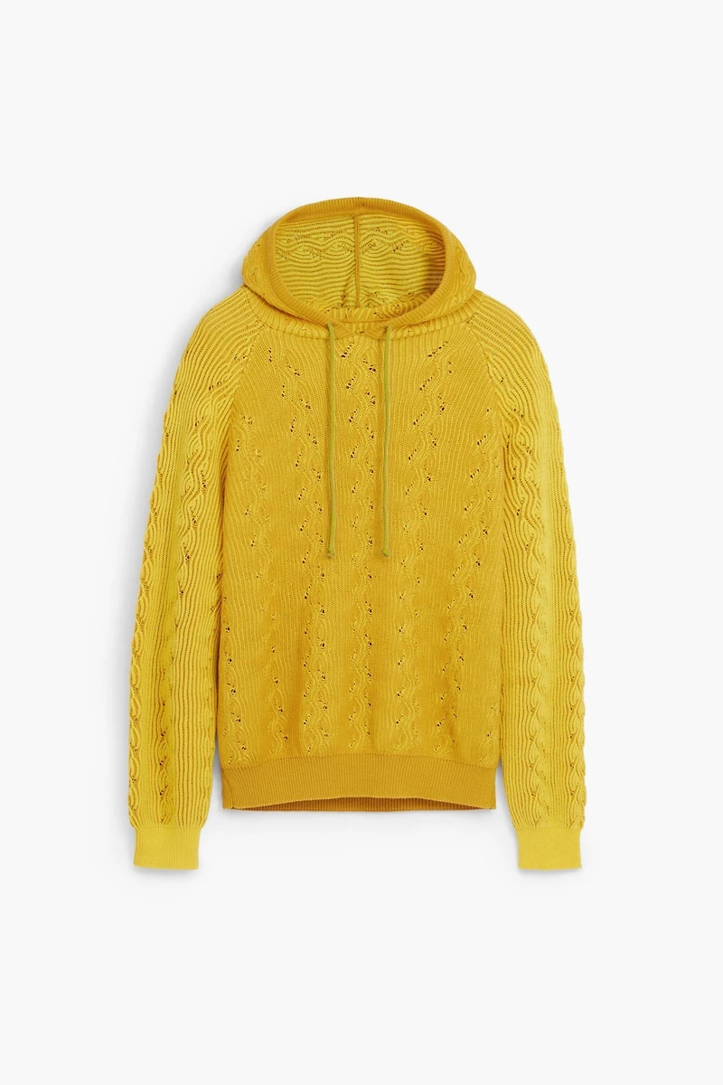 Desigual Men's Hooded sweatshirt with eyelet details
