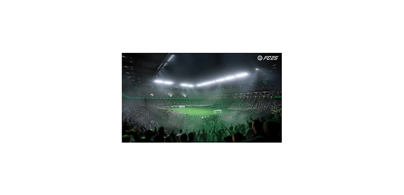 Fc 25 Standard Edition - PlayStation 5