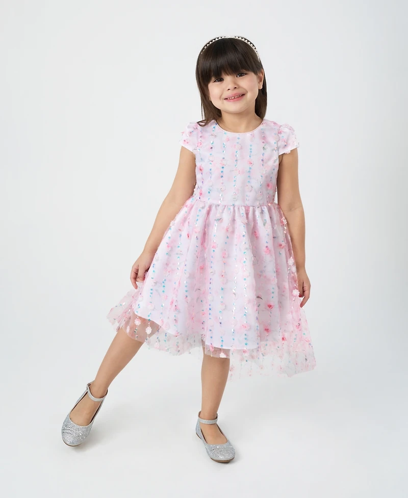 Rare Editions Toddler and Little Girls Floral Mesh with Embroidered Sequin Social Dress