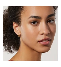 Ana Luisa Small Hoop Earrings - Jesse
