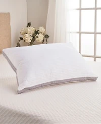 Indulgence By Isotonic. 500 Thread Count 100 Cotton Cover Pillows
