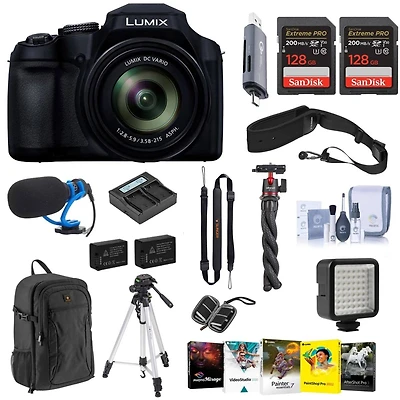 Panasonic Lumix FZ80D 18.1MP Point & Shoot Digital Camera, Bundle with 128GB Memory Card, Battery, Tripods, Microphone, W49 Light and Software Kit