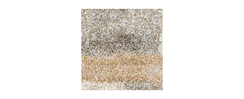 Loloi Silas Sla- 7'10"x10' Area Rug
