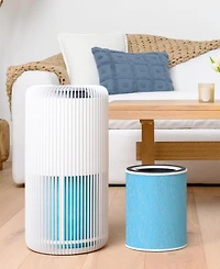 Pure Enrichment PureZone Turbo True Hepa Air Filter