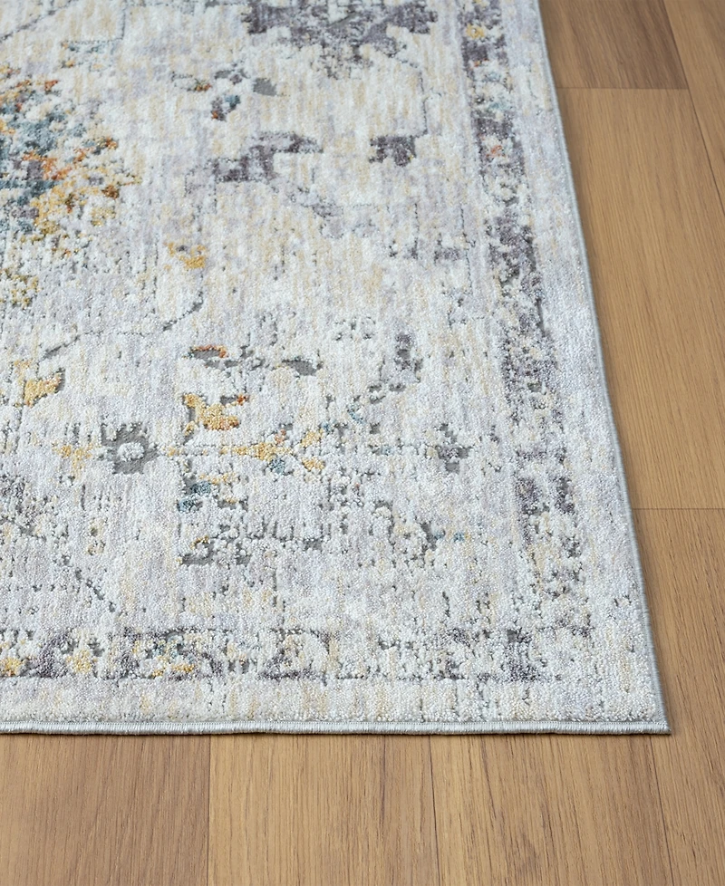 Lr Home Alexis All-470 2'x3' Area Rug