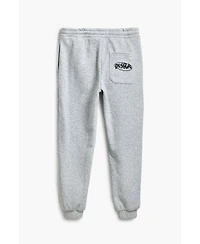 Desigual Boys Boys's Combined jogger pants