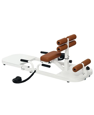 Soozier Sissy Squat Machine Hip Thrust Machine with Push Up Sd,