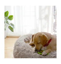 Hedgehog with tennis ball Dog Toy