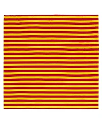 Harry Potter 4 Pack Swaddle Blankets