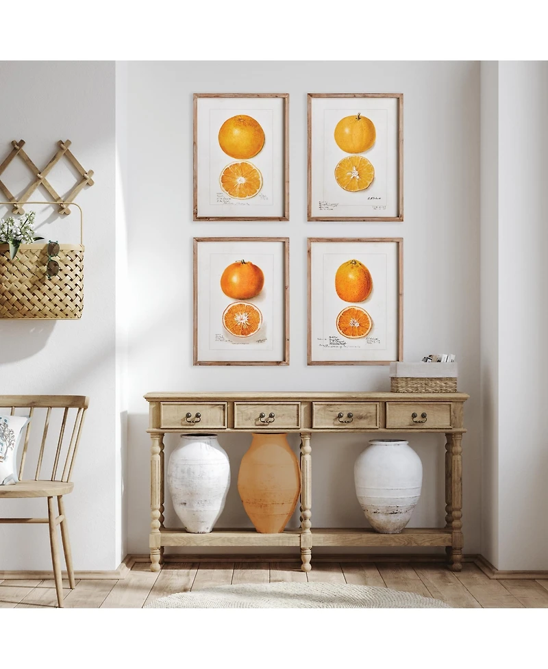 17.75"W x 1"D x 23.5"H Citrus Study Framed Wall Art Set of 4