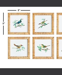 Songbird Petite Prints St/6