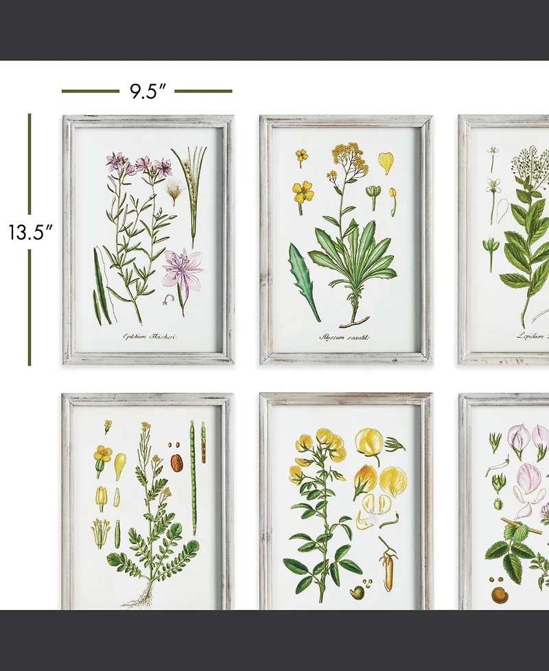 Perennial Botanical Study, Set Of 6 Wall Art