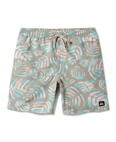 Quiksilver Men's Everyday Mix Volley 17 Nb Board Shorts