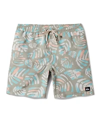 Quiksilver Men's Everyday Mix Volley 17 Nb Board Shorts
