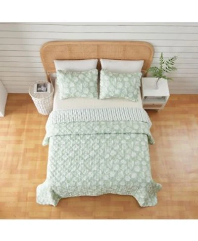 Linery Co. Green Seashell Microfiber Quilt Set With Shams