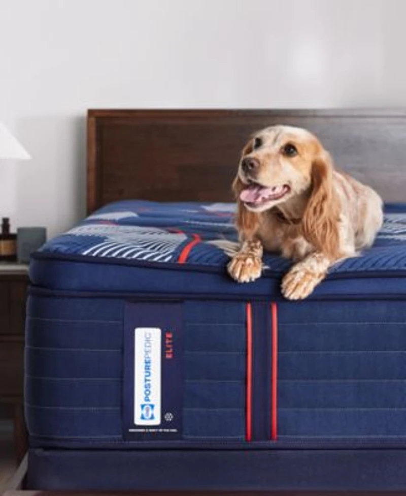 Sealy Posturepedic Elite Albany Ii 15 Soft Euro Pillow Top Mattress Collection