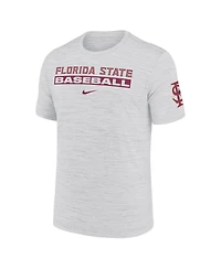 Nike Men's Ash Florida State Seminoles Velocity Baseball Wordmark Stack Performance T-Shirt