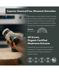 MycoMax Lion's Mane Extract Capsules Supplement- 70% Beta Glucans